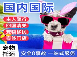 库尔勒梨城机场物流国际宠物托运 【国